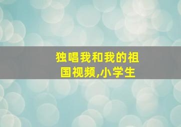 独唱我和我的祖国视频,小学生