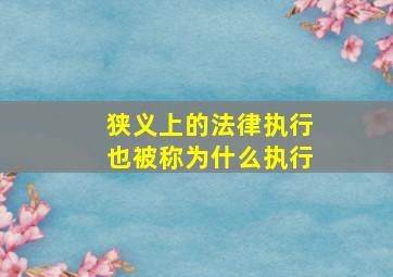 狭义上的法律执行也被称为什么执行