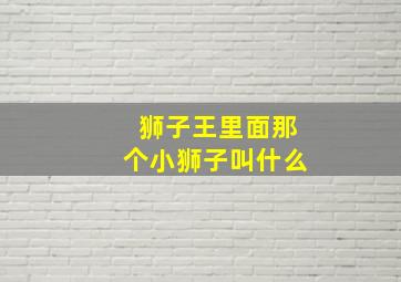 狮子王里面那个小狮子叫什么