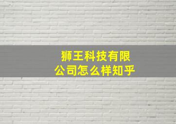 狮王科技有限公司怎么样知乎