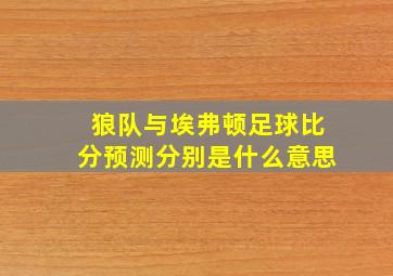 狼队与埃弗顿足球比分预测分别是什么意思