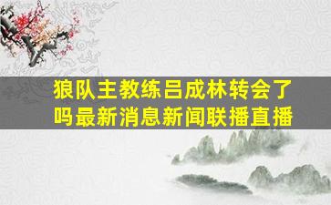 狼队主教练吕成林转会了吗最新消息新闻联播直播