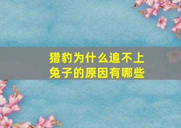 猎豹为什么追不上兔子的原因有哪些