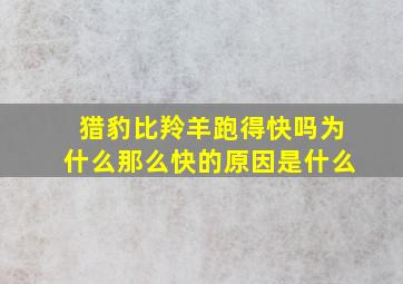 猎豹比羚羊跑得快吗为什么那么快的原因是什么