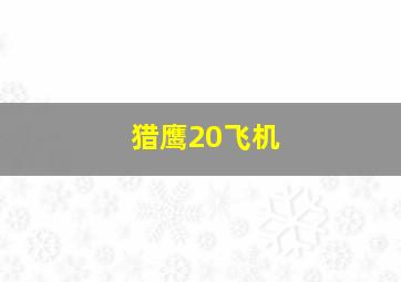 猎鹰20飞机