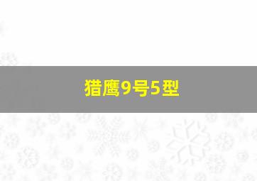 猎鹰9号5型