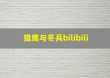 猎鹰与冬兵bilibili