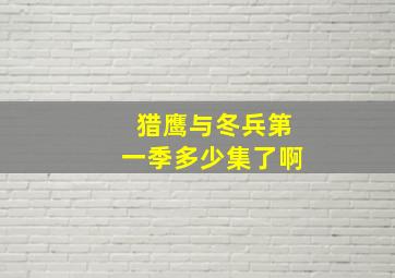 猎鹰与冬兵第一季多少集了啊