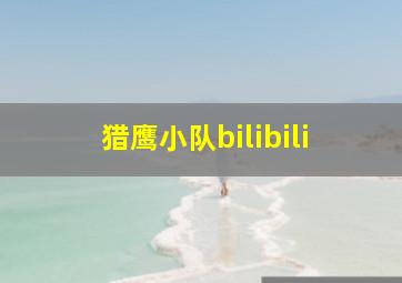 猎鹰小队bilibili