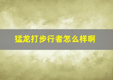 猛龙打步行者怎么样啊