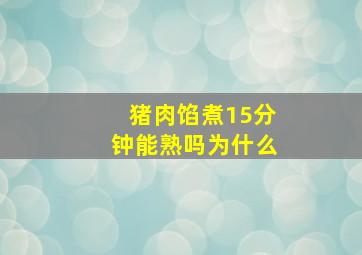 猪肉馅煮15分钟能熟吗为什么