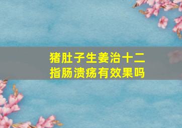 猪肚子生姜治十二指肠溃疡有效果吗