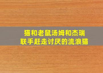 猫和老鼠汤姆和杰瑞联手赶走讨厌的流浪猫