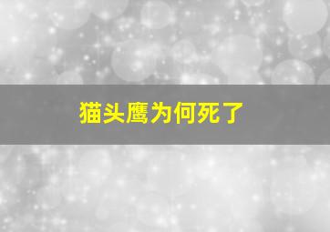 猫头鹰为何死了