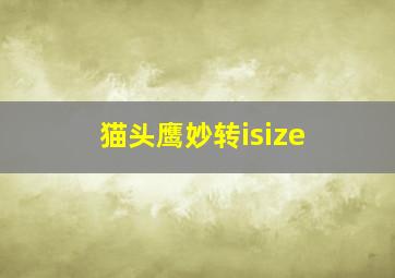 猫头鹰妙转isize