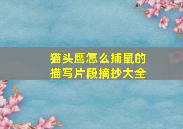 猫头鹰怎么捕鼠的描写片段摘抄大全