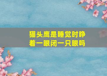 猫头鹰是睡觉时睁着一眼闭一只眼吗