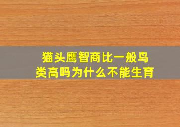 猫头鹰智商比一般鸟类高吗为什么不能生育