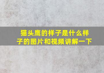 猫头鹰的样子是什么样子的图片和视频讲解一下