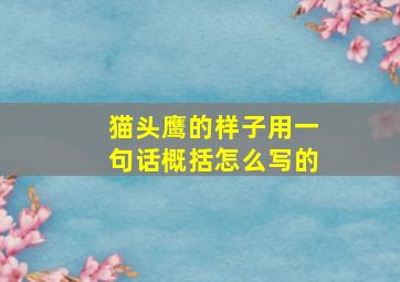 猫头鹰的样子用一句话概括怎么写的