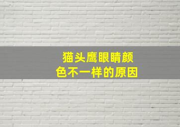 猫头鹰眼睛颜色不一样的原因