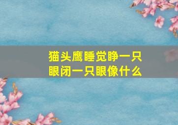 猫头鹰睡觉睁一只眼闭一只眼像什么