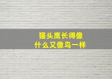 猫头鹰长得像什么又像鸟一样