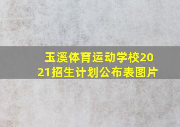 玉溪体育运动学校2021招生计划公布表图片