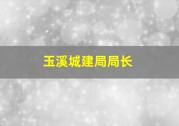 玉溪城建局局长