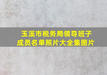 玉溪市税务局领导班子成员名单照片大全集图片