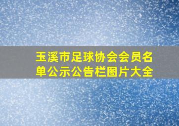 玉溪市足球协会会员名单公示公告栏图片大全