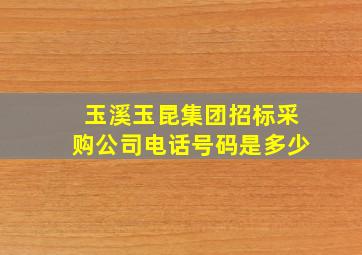 玉溪玉昆集团招标采购公司电话号码是多少