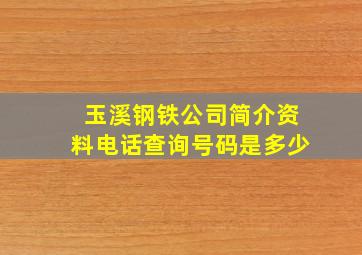 玉溪钢铁公司简介资料电话查询号码是多少