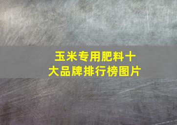 玉米专用肥料十大品牌排行榜图片