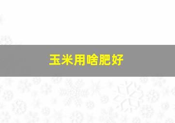 玉米用啥肥好