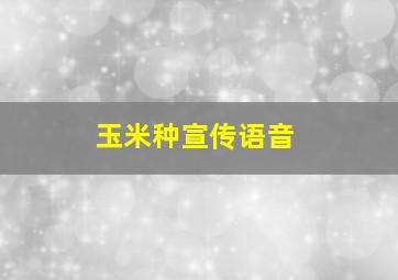 玉米种宣传语音