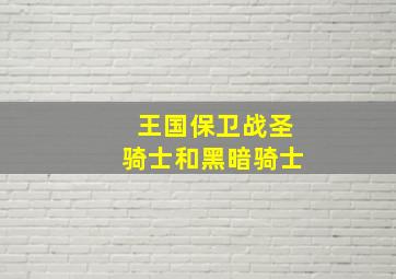 王国保卫战圣骑士和黑暗骑士