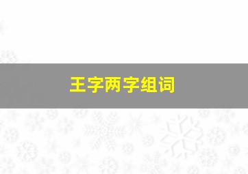 王字两字组词