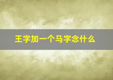 王字加一个马字念什么