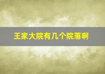 王家大院有几个院落啊