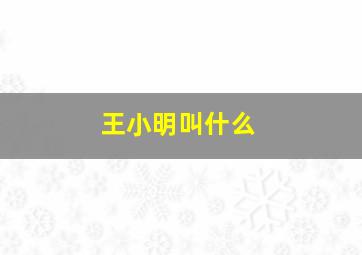 王小明叫什么