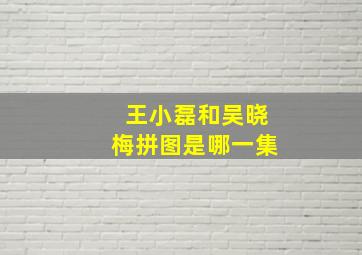 王小磊和吴晓梅拼图是哪一集