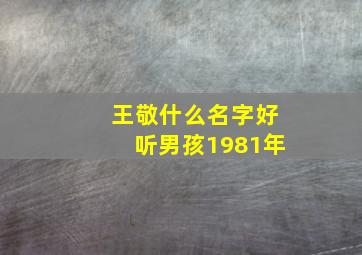 王敬什么名字好听男孩1981年