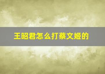 王昭君怎么打蔡文姬的