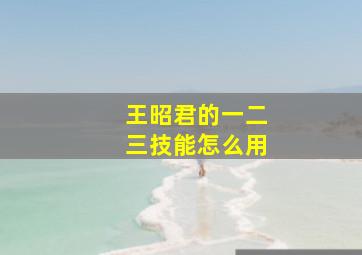 王昭君的一二三技能怎么用