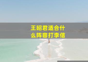 王昭君适合什么阵容打李信