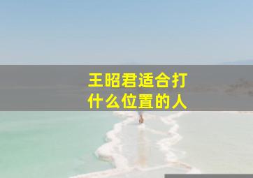 王昭君适合打什么位置的人