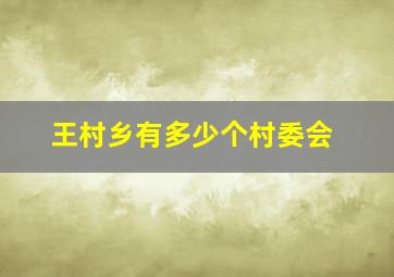 王村乡有多少个村委会