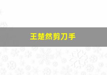 王楚然剪刀手