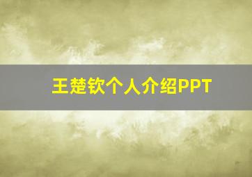 王楚钦个人介绍PPT